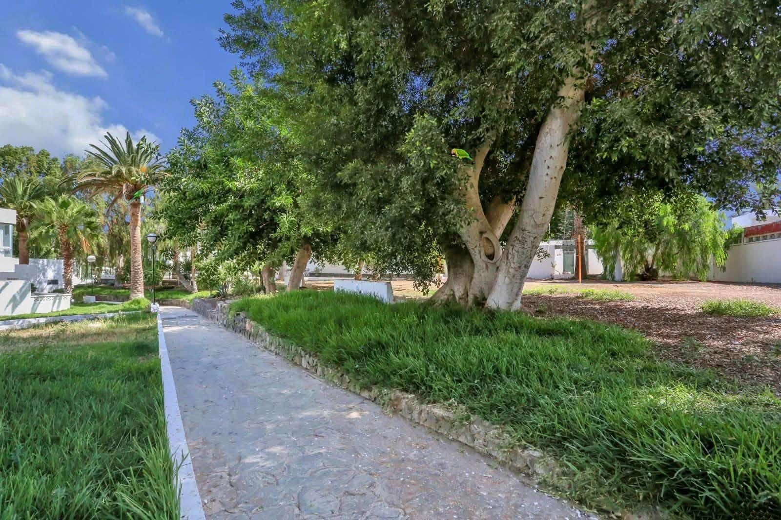 Studio for sale in Arona with pool - € 169,000 (Ref: 10131761)