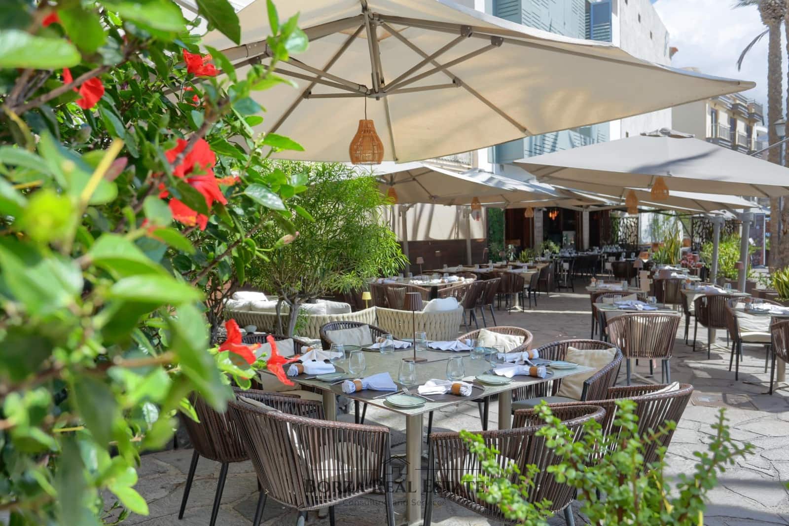 Kommersiell att hyra i Playa San Juan - 8 800 € (Ref: 10142477)