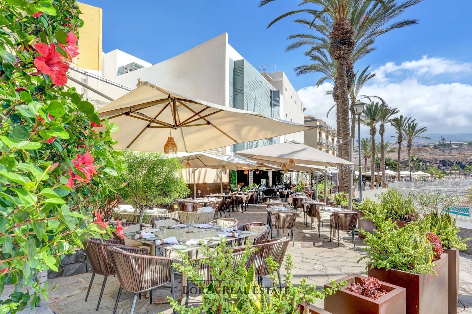 Kommersiell att hyra i Playa San Juan - 8 800 € (Ref: 10142477)