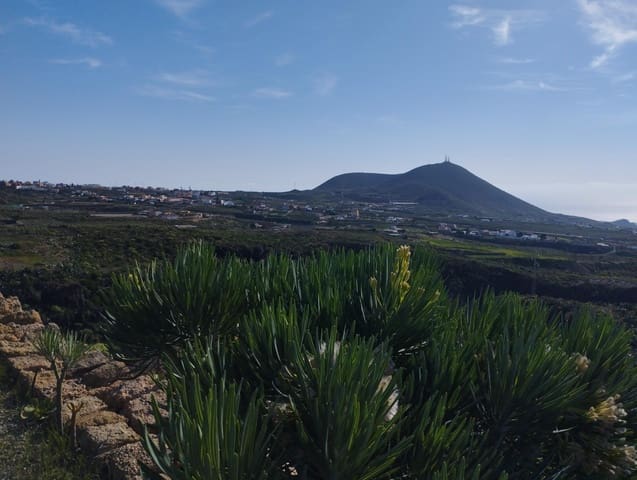 1 sovrum Finca/Hus på landet till salu i San Miguel de Abona - 180 000 € (Ref: 7250264)