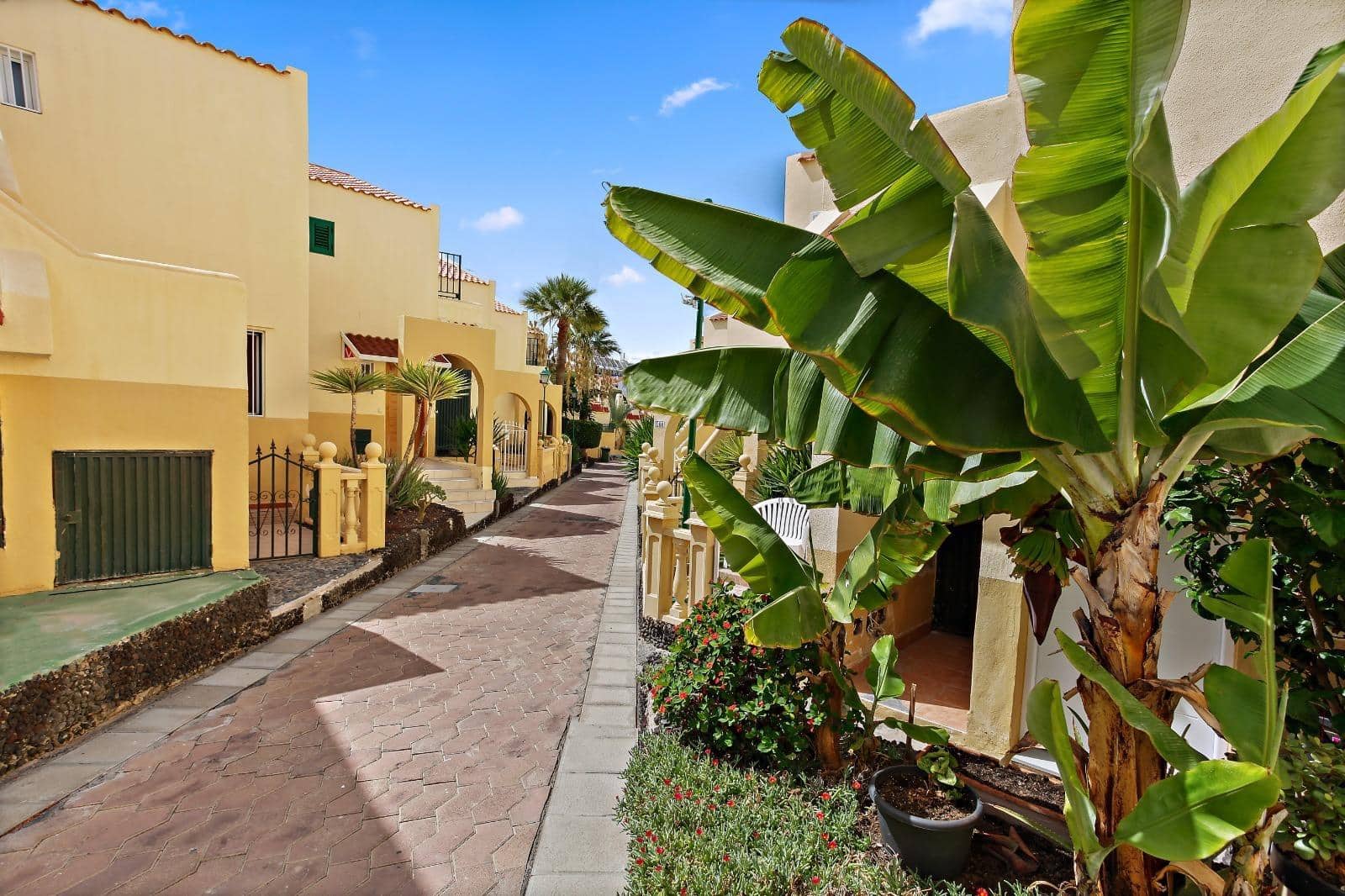 1 soveværelse Lejlighed til leje i Costa Adeje med swimmingpool - € 1.250 (Ref: 9291696)