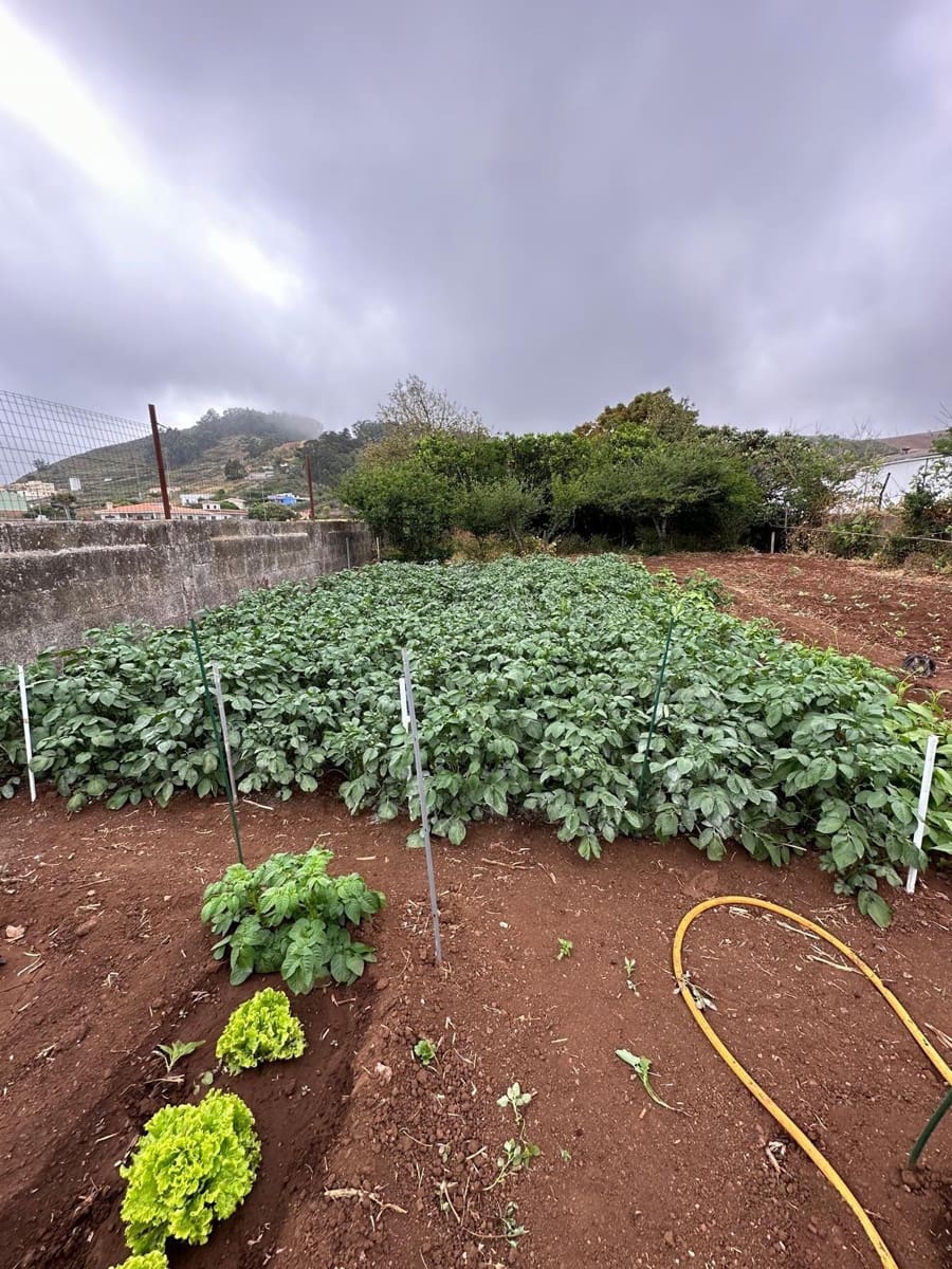 5 slaapkamer Villa te koop in San Cristobal de La Laguna met garage - € 498.000 (Ref: 9362431)