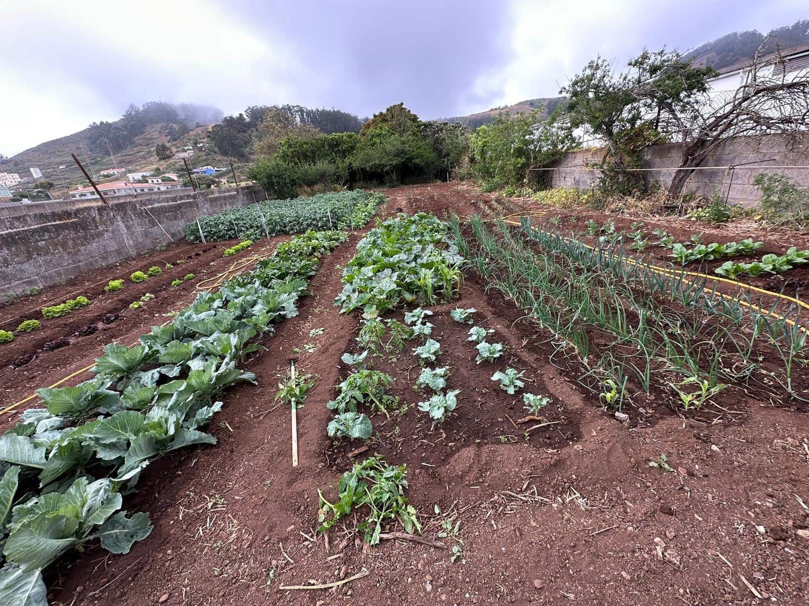 5 slaapkamer Villa te koop in San Cristobal de La Laguna met garage - € 498.000 (Ref: 9362431)