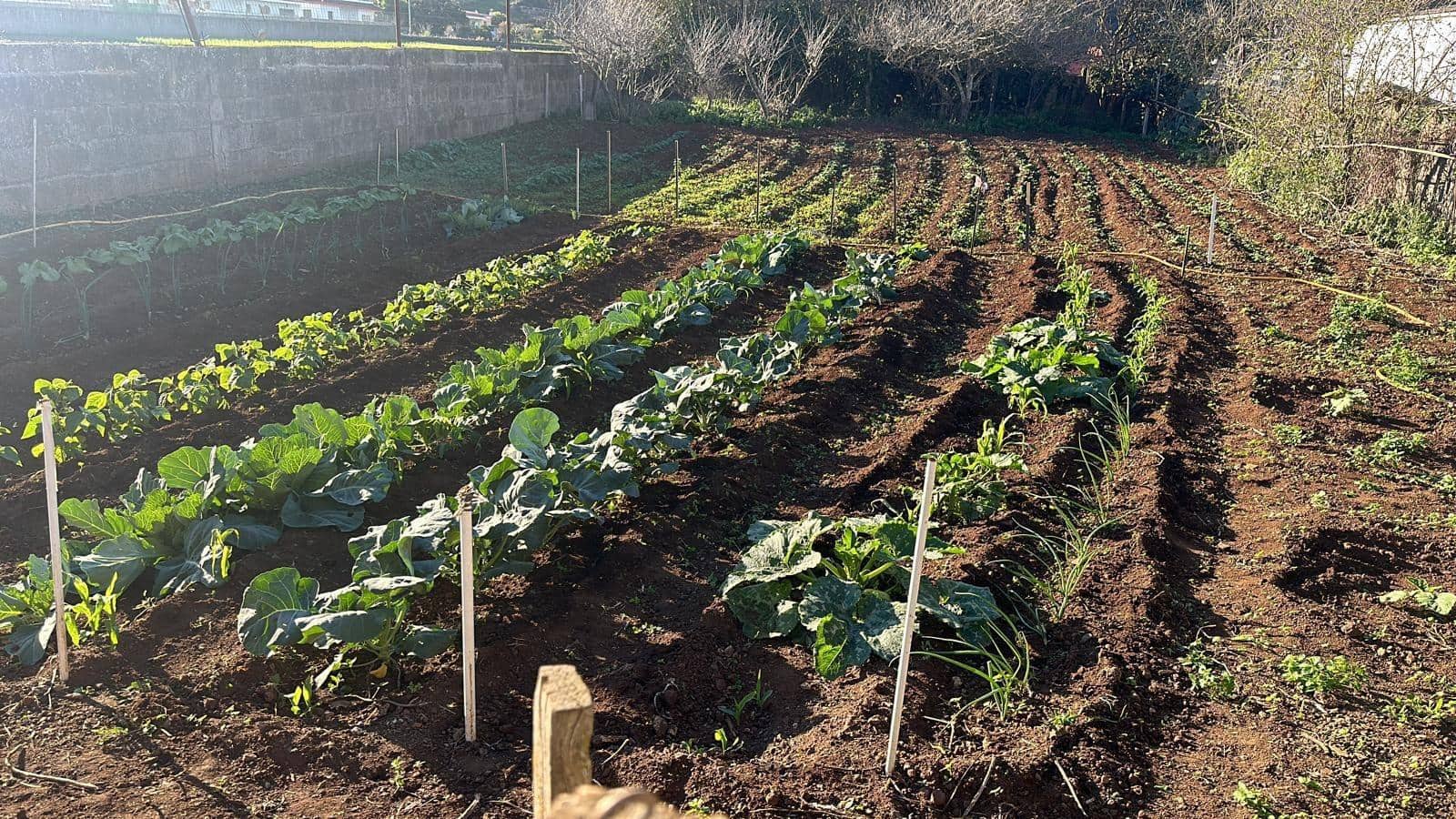 5 slaapkamer Villa te koop in San Cristobal de La Laguna met garage - € 498.000 (Ref: 9362431)