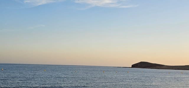 Comercial para venda em El Medano, Granadilla de Abona - 90 000 € (Ref: 9446680)