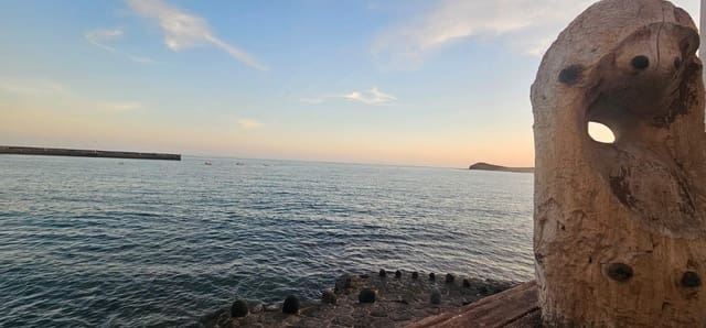 Comercial para venda em El Medano, Granadilla de Abona - 90 000 € (Ref: 9446680)