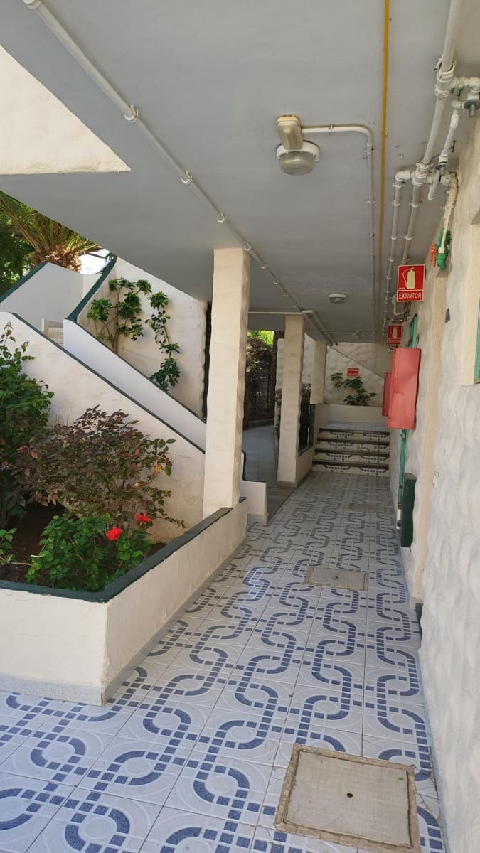Estudio de 1 habitación en Playa de las Americas en venta - 220.000 € (Ref: 9478776)