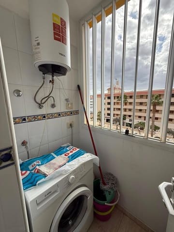 1 bedroom Apartment for rent in Los Cristianos, Arona - € 1,300 (Ref: 9509031)