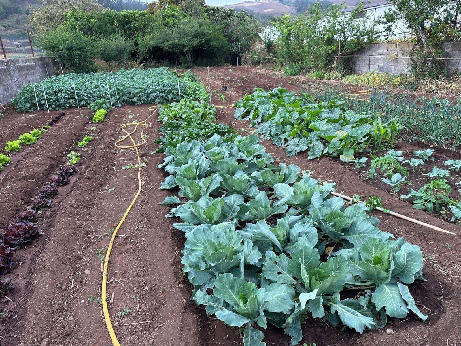 5 soveværelse Villa til salg i San Cristobal de La Laguna med garage - € 460.000 (Ref: 9555969)