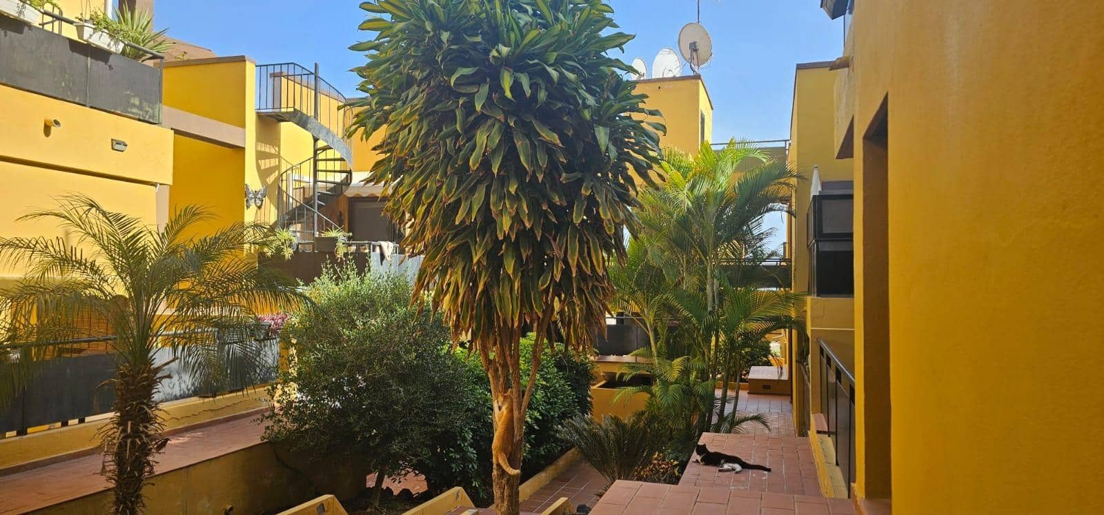 3 quarto Penthouse para venda em Parque de la Reina - 298 000 € (Ref: 9794757)