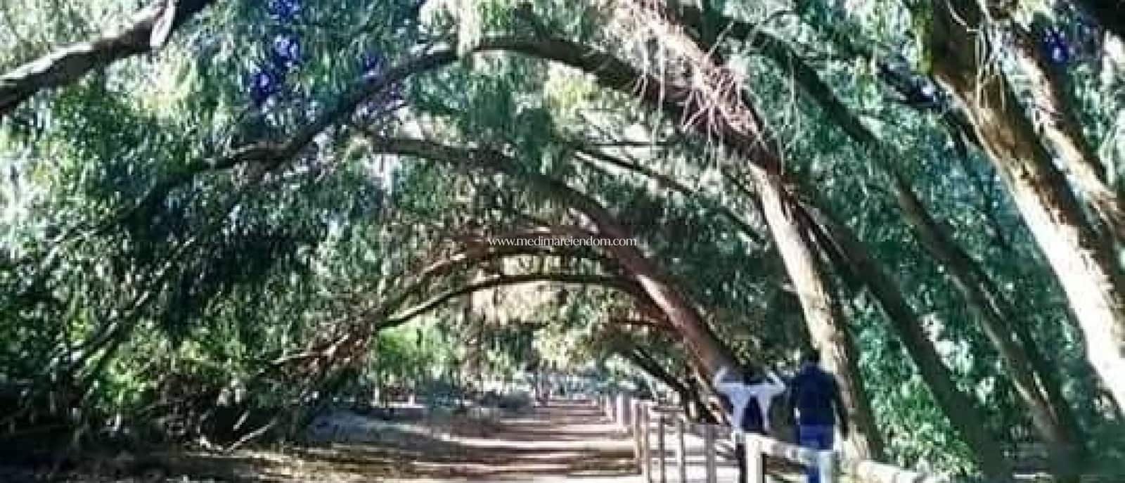 2 sypialnia Bungalow na sprzedaż w Torrevieja z basenem - 263 900 € (Ref: 9438751)