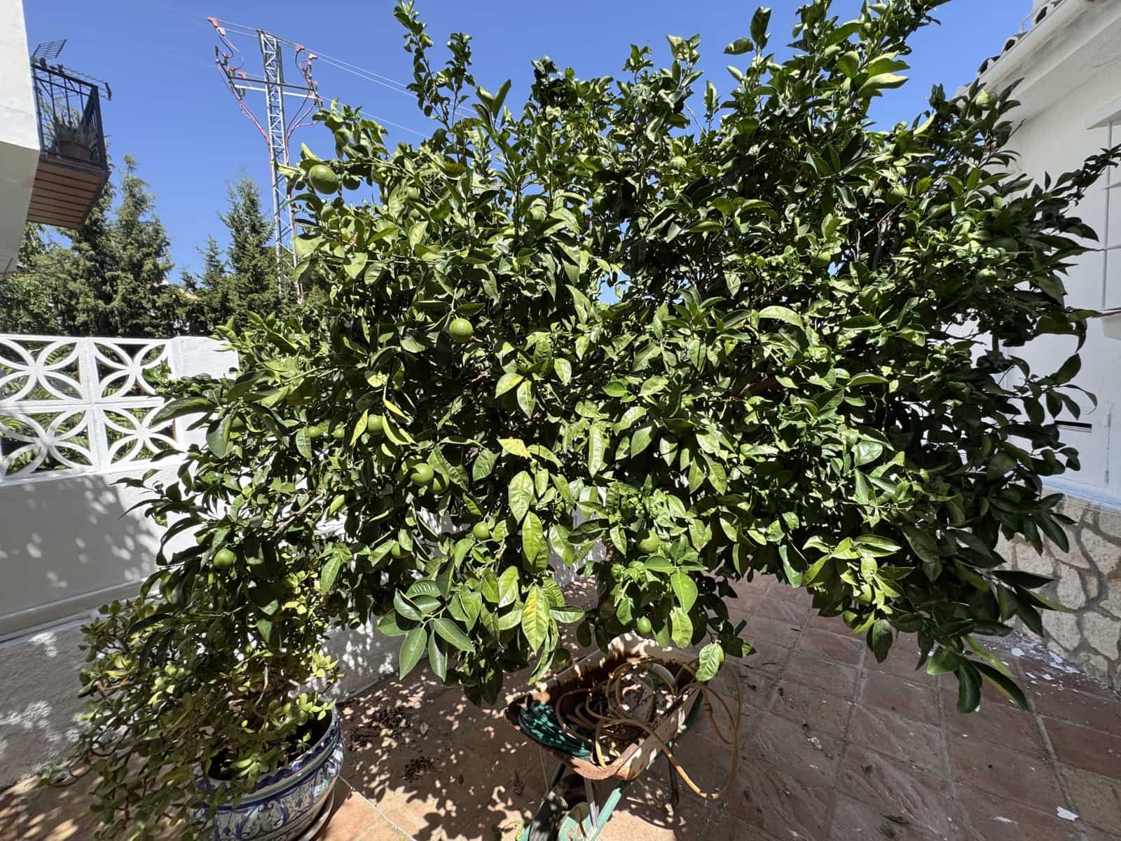 5 soverom Villa til salgs i Mijas med svømmebasseng garasje - € 1 099 000 (Ref: 10024242)