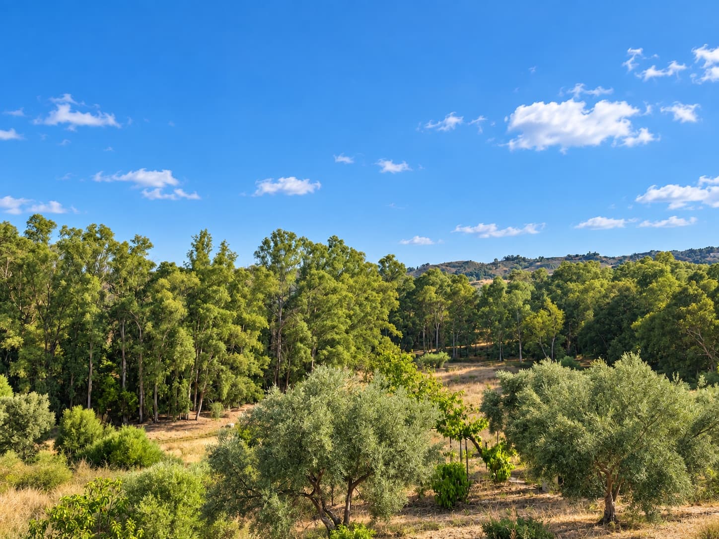 3 bedroom Finca/Country House for sale in Mijas Costa with pool garage - € 950,000 (Ref: 10078197)