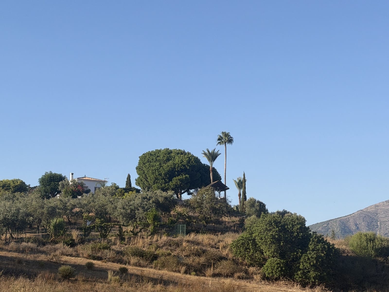 3 bedroom Finca/Country House for sale in Mijas Costa with pool garage - € 950,000 (Ref: 10078197)