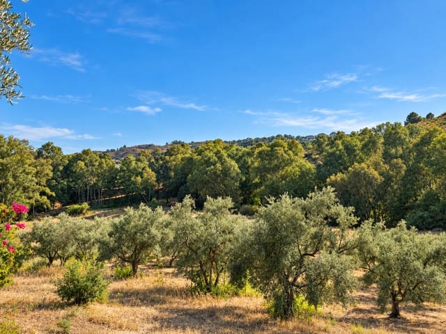 3 soverom Finca/Herregård til salgs i Mijas Costa, Mijas med svømmebasseng garasje - € 950 000 (Ref: 10078197)