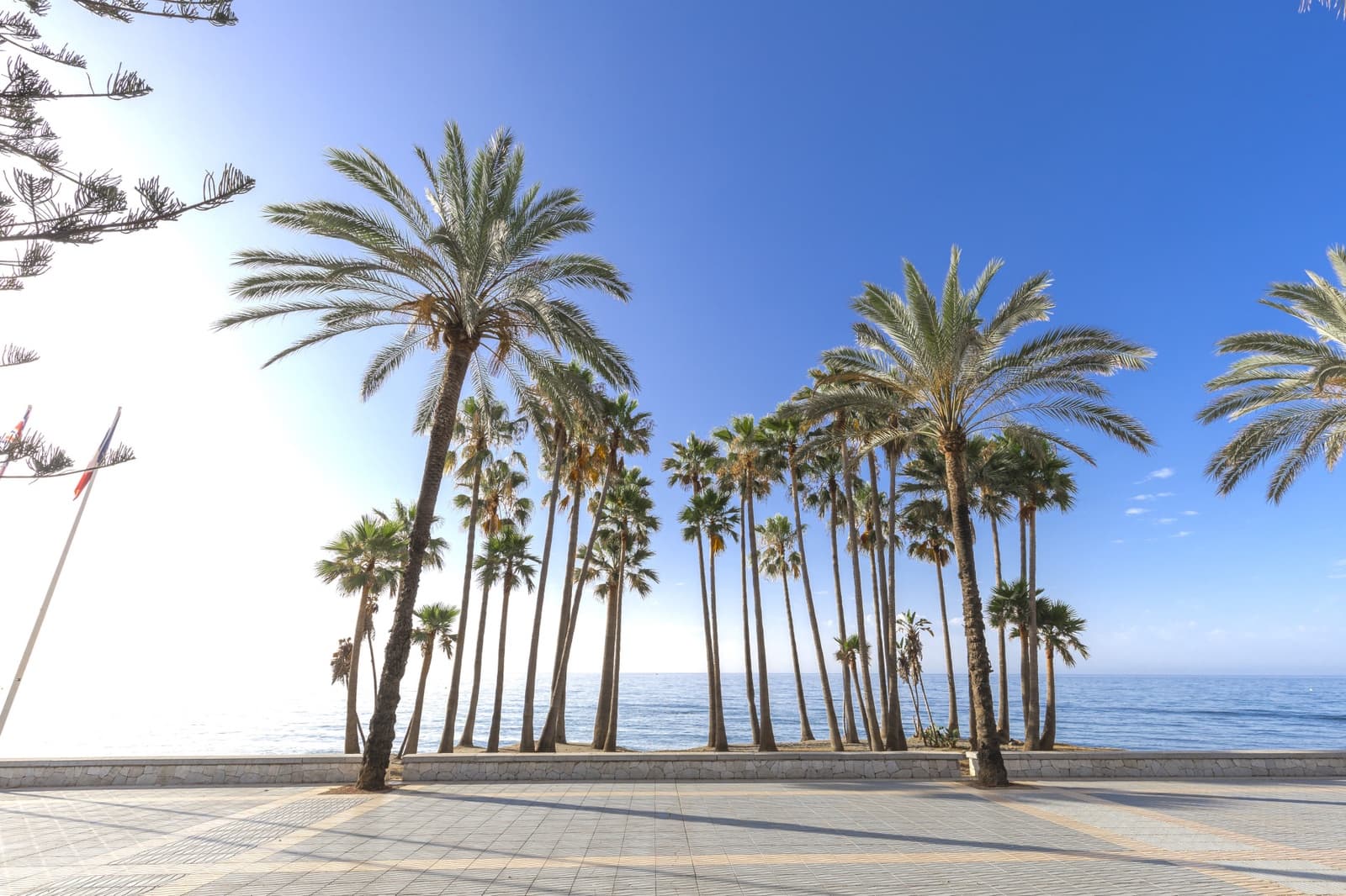 3 soveværelse Lejlighed til salg i San Pedro de Alcantara - € 388.000 (Ref: 10081100)