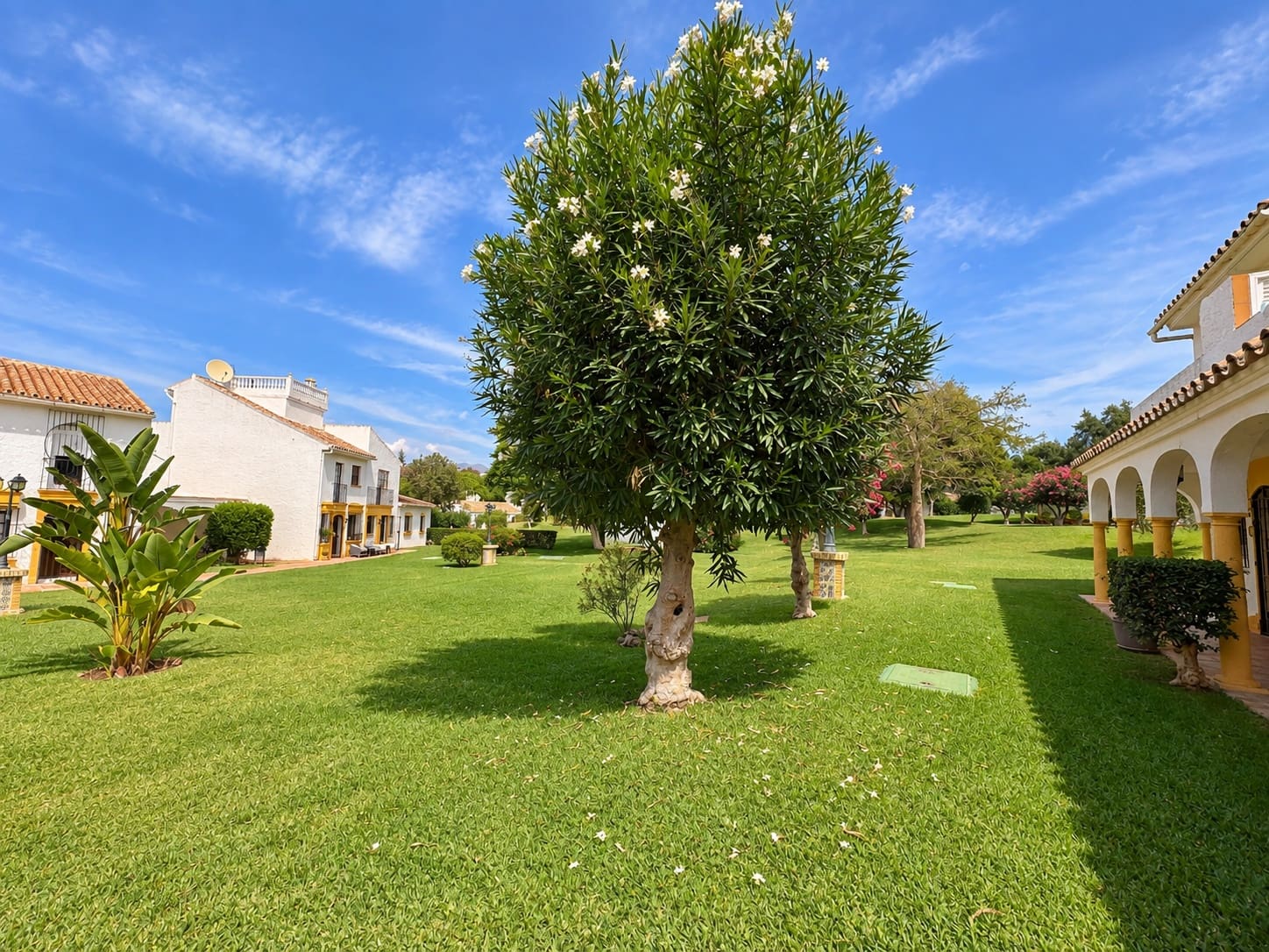 3 sypialnia Dom na sprzedaż w Marbella z basenem - 499 000 € (Ref: 10131752)