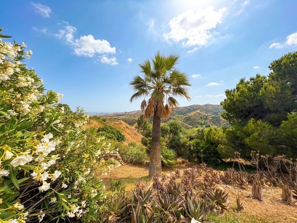 6 chambre Finca/Maison de Campagne à vendre à Mijas Costa avec piscine garage - 1 690 000 € (Ref: 10159591)