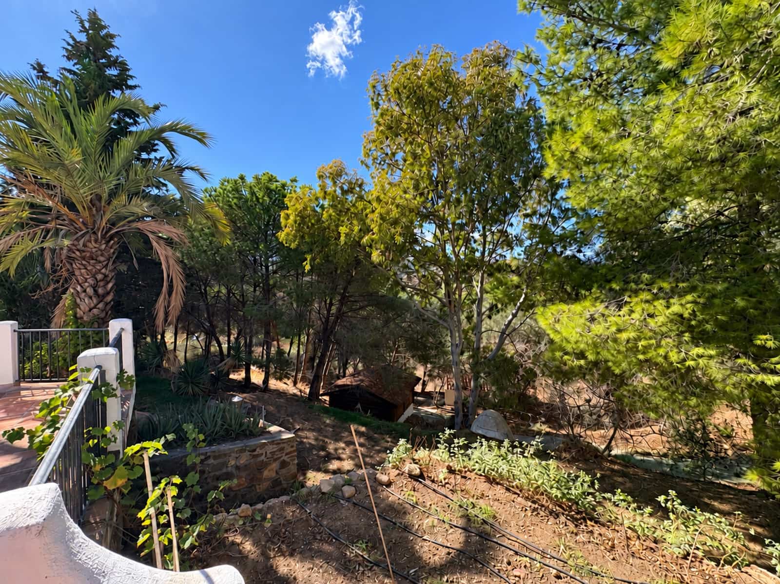 6 chambre Finca/Maison de Campagne à vendre à Mijas Costa avec piscine garage - 1 690 000 € (Ref: 10159591)