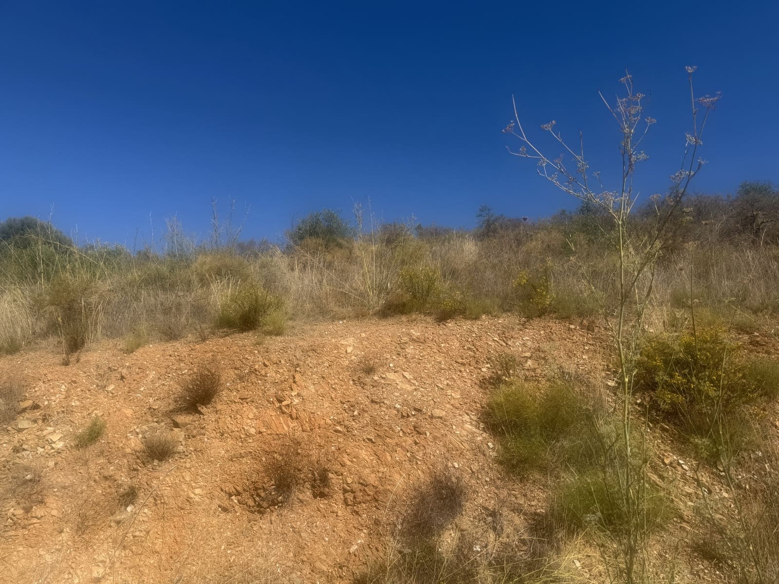 Solar/Parcela en Mijas en venta - 145.000 € (Ref: 10182921)