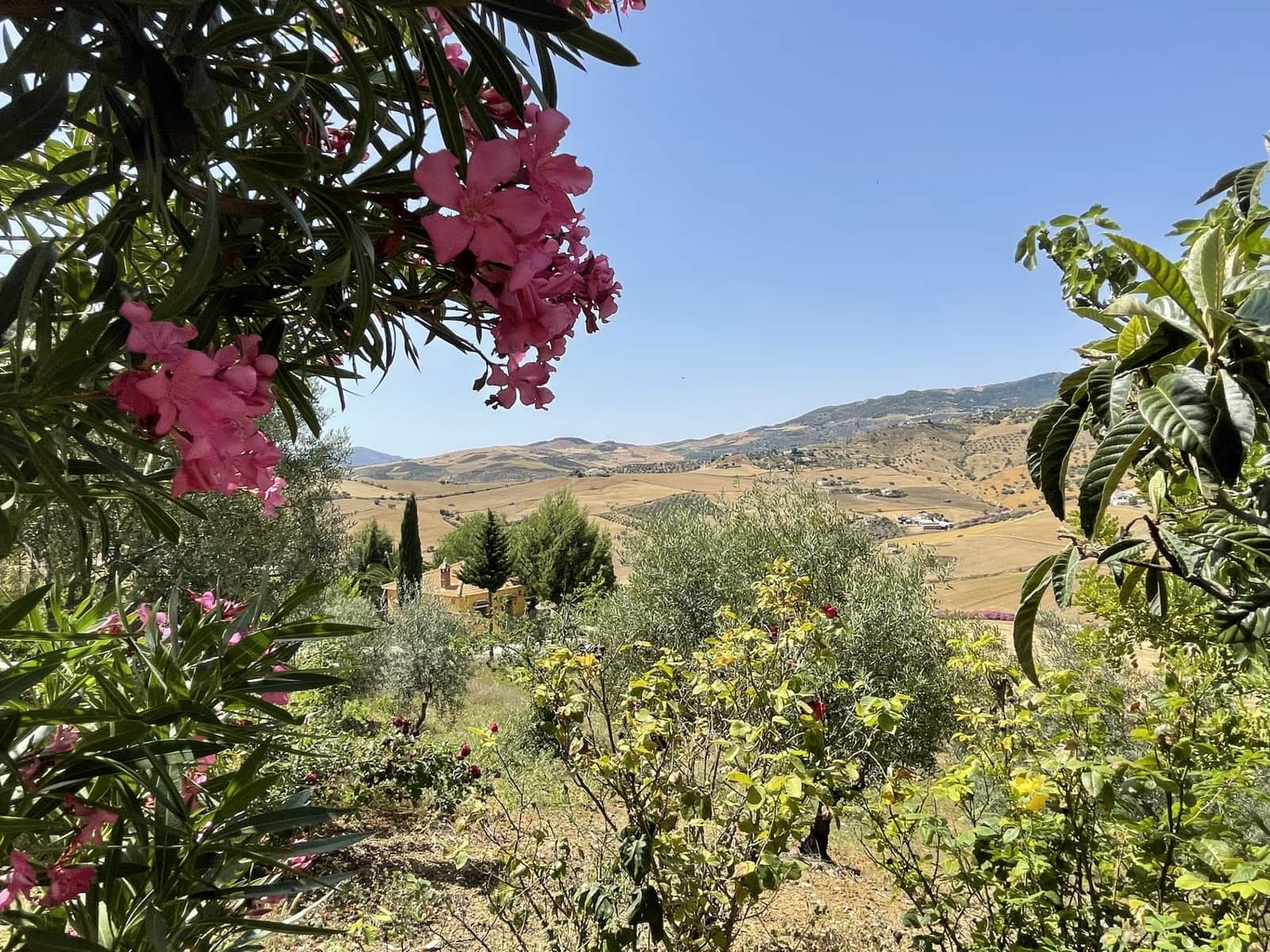 Finca/Casa Rural de 14 habitaciones en Villanueva de la Concepcion en venta con piscina garaje - 1.000.000 € (Ref: 6203085)