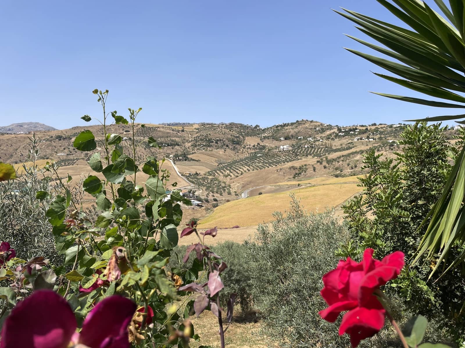 Finca/Casa Rural de 14 habitaciones en Villanueva de la Concepcion en venta con piscina garaje - 1.000.000 € (Ref: 6203085)