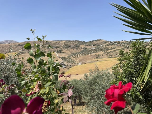 14 bedroom Finca/Country House for sale in Villanueva de la Concepcion with pool garage - € 1,000,000 (Ref: 6203085)