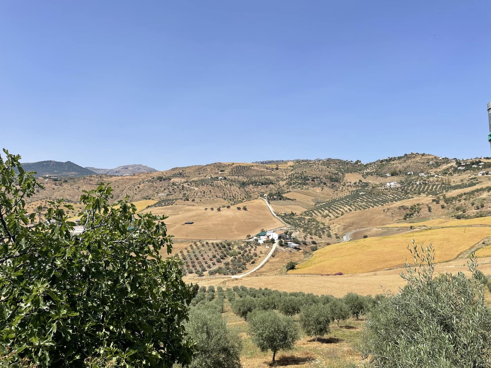 14 bedroom Finca/Country House for sale in Villanueva de la Concepcion with pool garage - € 1,000,000 (Ref: 6203085)