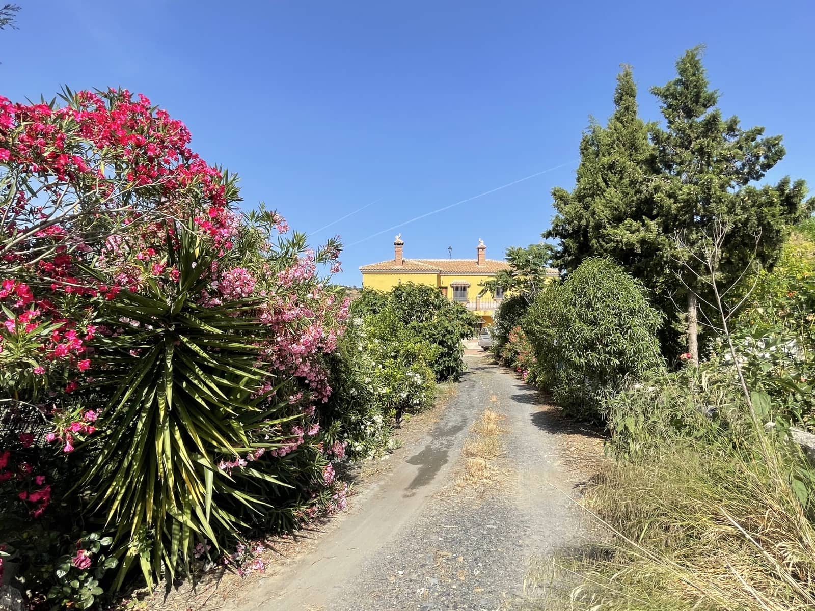 14 bedroom Finca/Country House for sale in Villanueva de la Concepcion with pool garage - € 1,000,000 (Ref: 6203085)