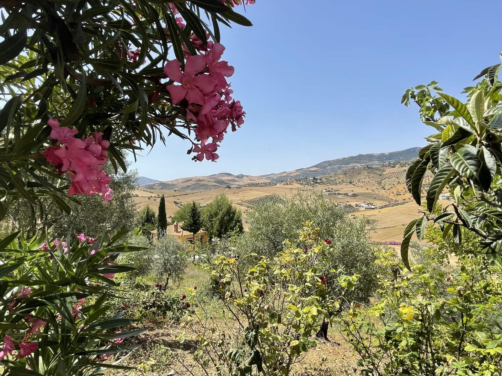 14 bedroom Finca/Country House for sale in Villanueva de la Concepcion with pool garage - € 1,000,000 (Ref: 6203085)