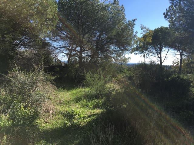 Tontti myytävänä paikassa Sotogrande, San Roque - 1 000 000 € (Ref: 6874766)