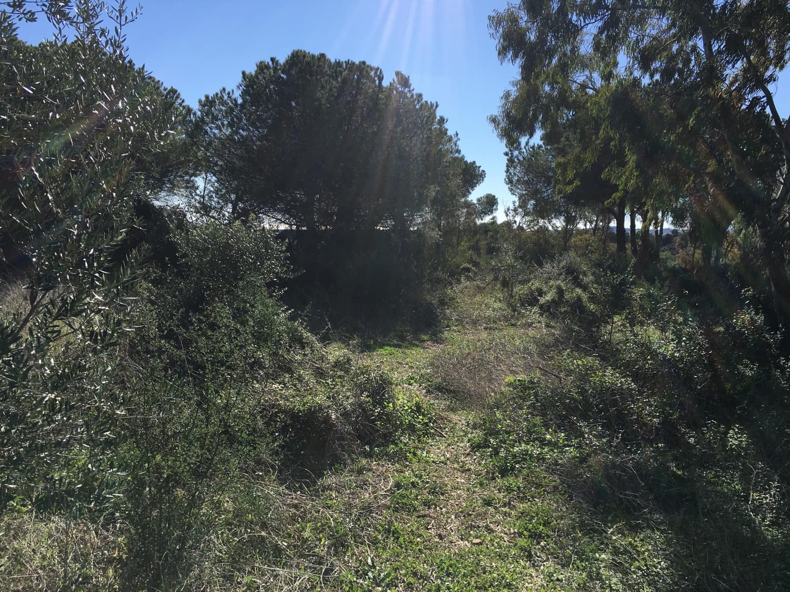 Tontti myytävänä paikassa Sotogrande - 1 000 000 € (Ref: 6874766)
