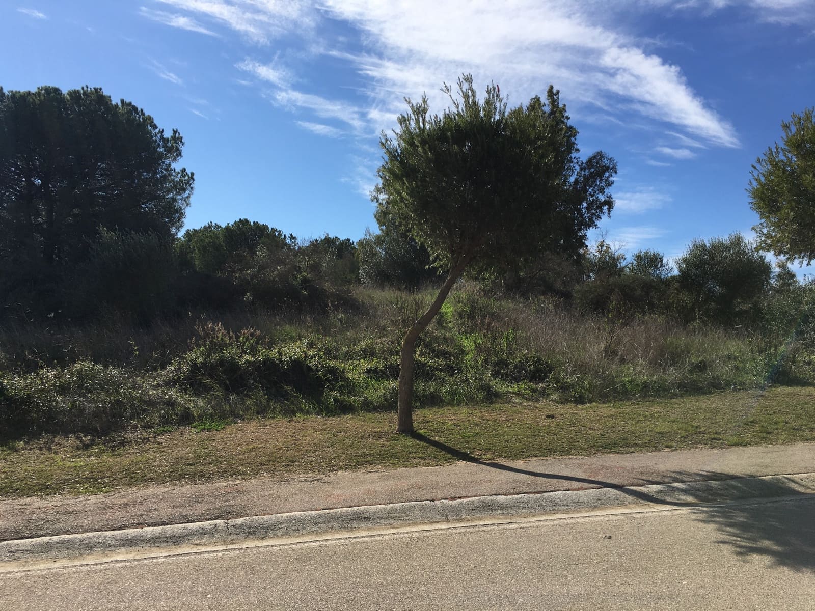 Tontti myytävänä paikassa Sotogrande - 1 000 000 € (Ref: 6874766)