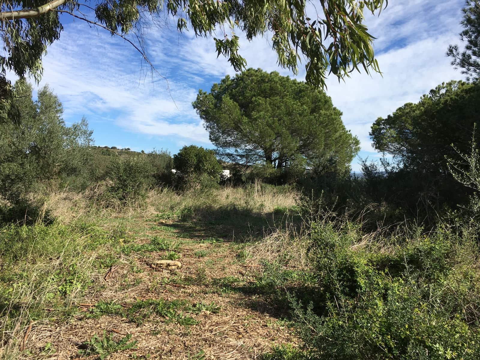 Tontti myytävänä paikassa Sotogrande - 1 000 000 € (Ref: 6874766)