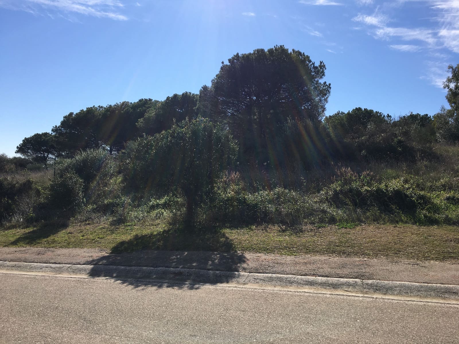 Tontti myytävänä paikassa Sotogrande - 1 000 000 € (Ref: 6874766)