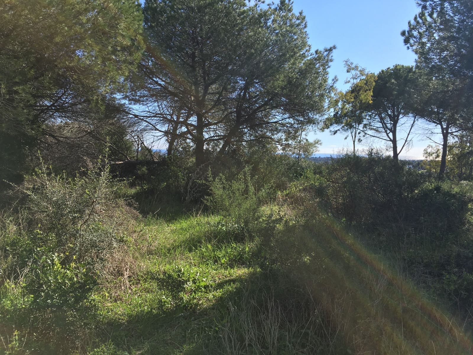 Tontti myytävänä paikassa Sotogrande - 1 000 000 € (Ref: 6874766)
