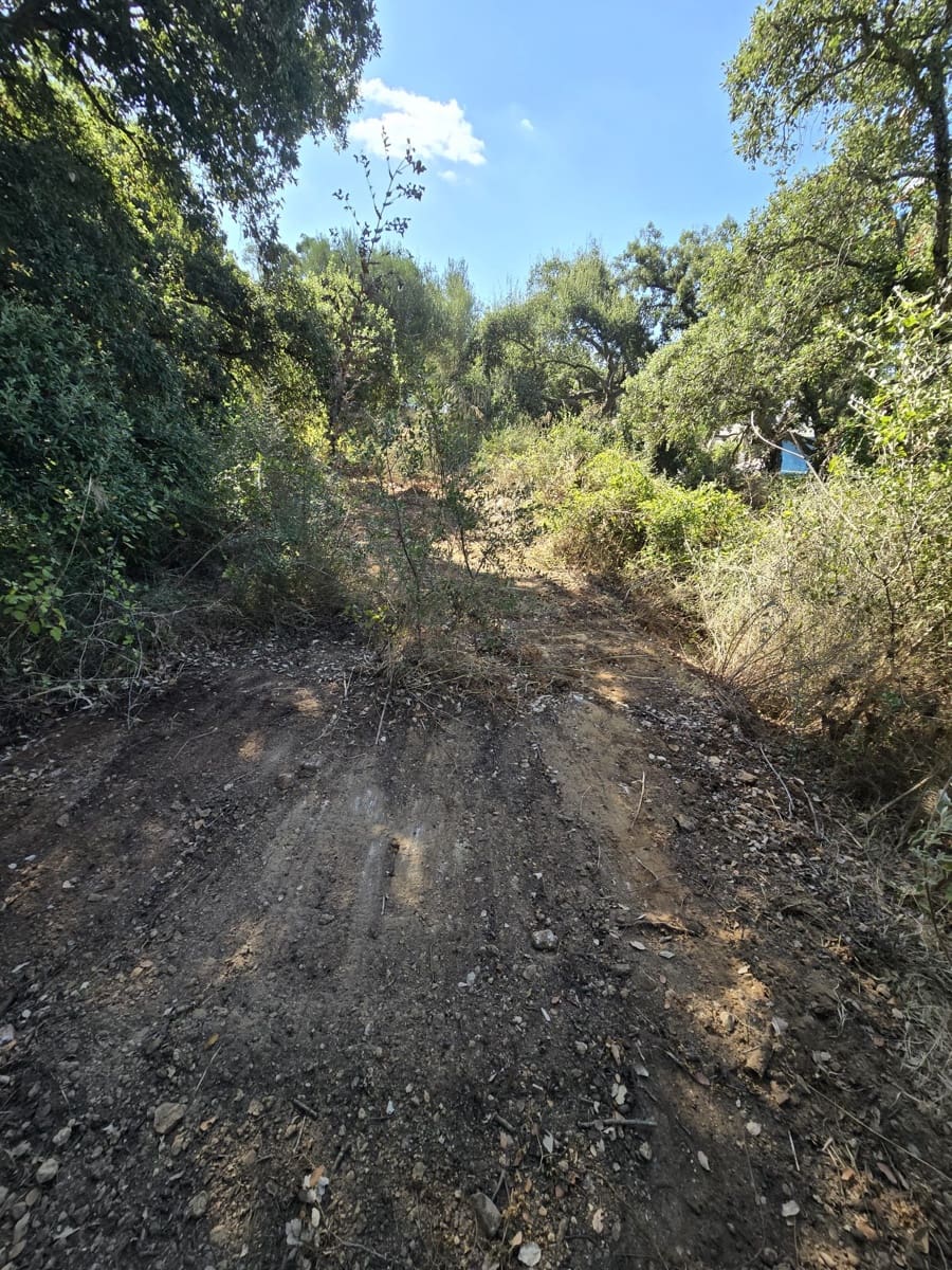 Bouwgrond te koop in Sotogrande - € 1.000.000 (Ref: 7415306)