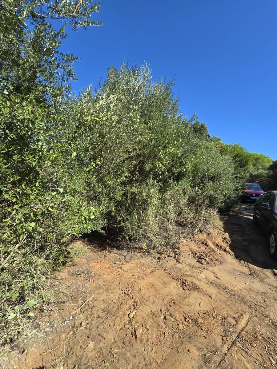 Bouwgrond te koop in Sotogrande - € 1.000.000 (Ref: 7415306)