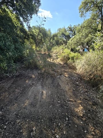 Bouwgrond te koop in Sotogrande Alto, San Roque - € 1.000.000 (Ref: 7415306)