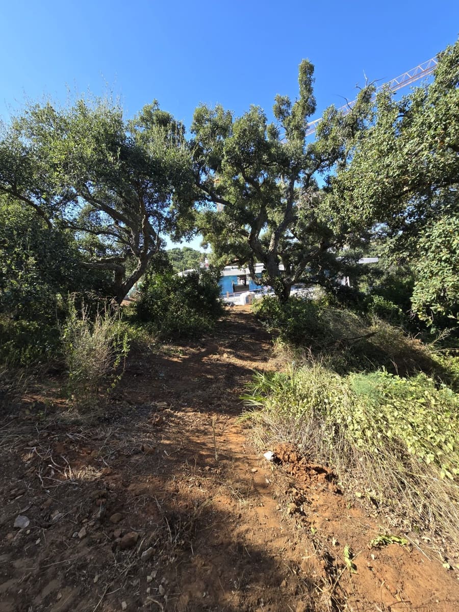 Bouwgrond te koop in Sotogrande - € 1.000.000 (Ref: 7415306)