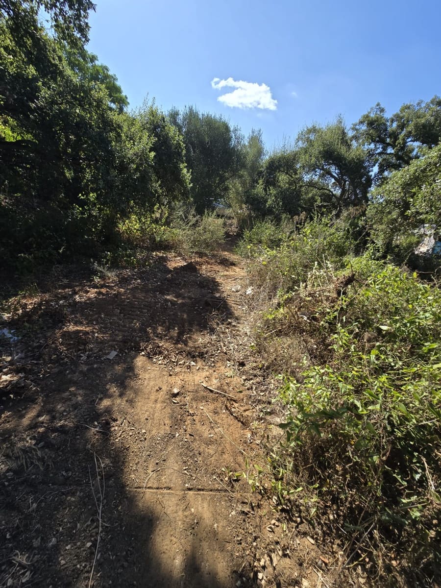 Bouwgrond te koop in Sotogrande - € 1.000.000 (Ref: 7415306)