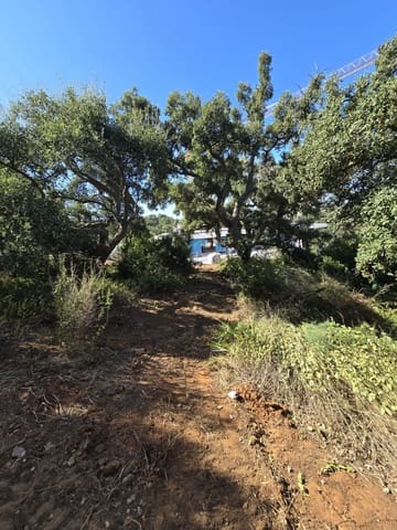 Bouwgrond te koop in Sotogrande Alto, San Roque - € 1.000.000 (Ref: 7415306)