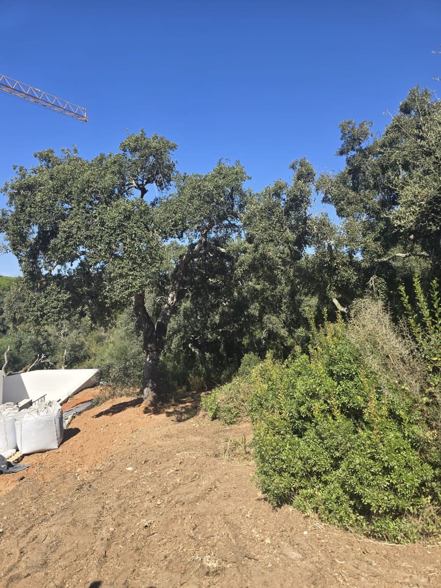 Bouwgrond te koop in Sotogrande - € 1.000.000 (Ref: 7415306)
