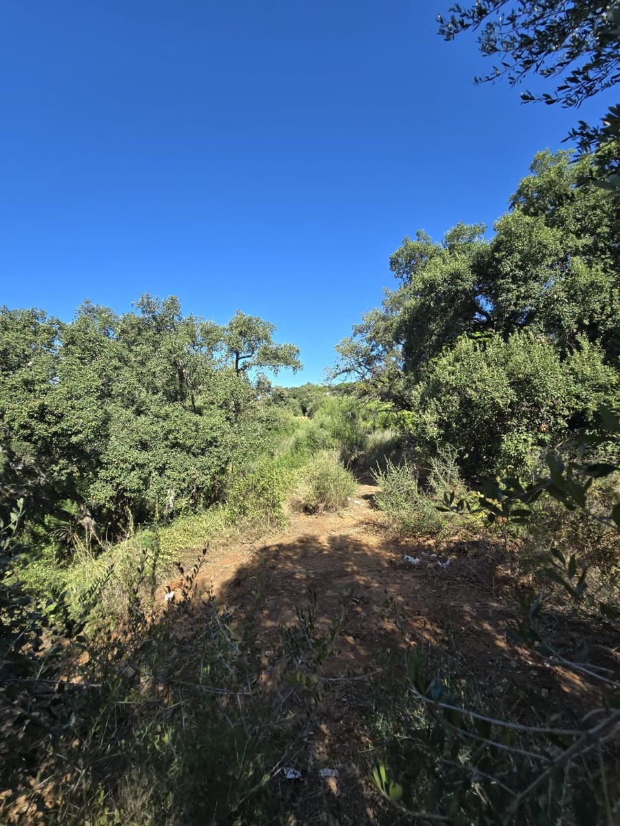 Bouwgrond te koop in Sotogrande - € 1.000.000 (Ref: 7415306)
