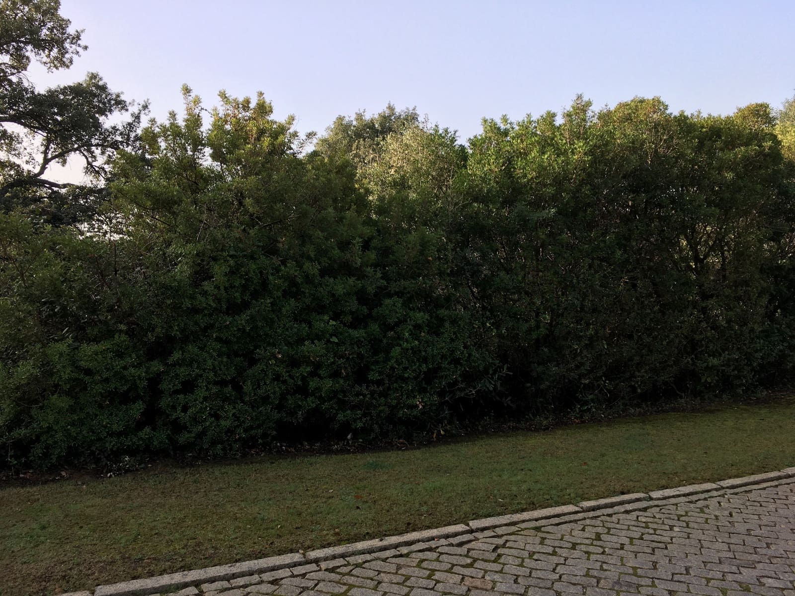 Bouwgrond te koop in Sotogrande - € 1.000.000 (Ref: 7415306)