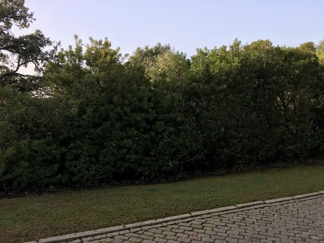 Bouwgrond te koop in Sotogrande Alto, San Roque - € 1.000.000 (Ref: 7415306)