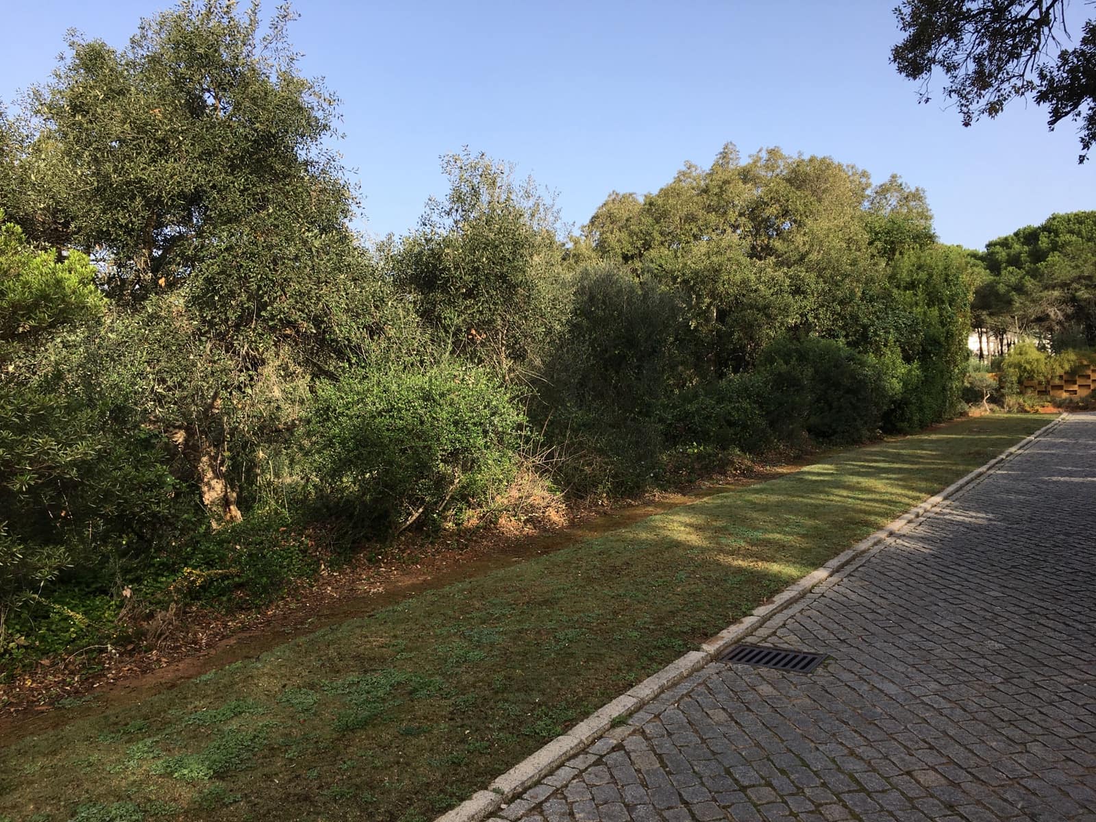Bouwgrond te koop in Sotogrande - € 1.000.000 (Ref: 7415306)