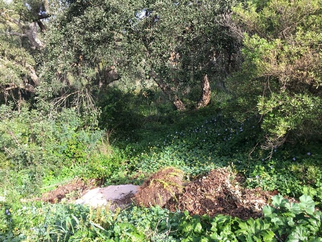 Bouwgrond te koop in Sotogrande Alto, San Roque - € 1.000.000 (Ref: 7415306)