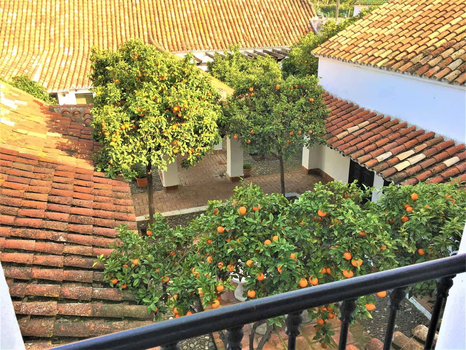 7 slaapkamer Finca/Landhuis te koop in San Enrique de Guadiaro met zwembad garage - € 3.500.000 (Ref: 7530695)