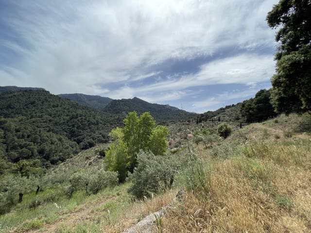 3 slaapkamer Finca/Landhuis te koop in El Burgo met zwembad - € 255.000 (Ref: 7686501)